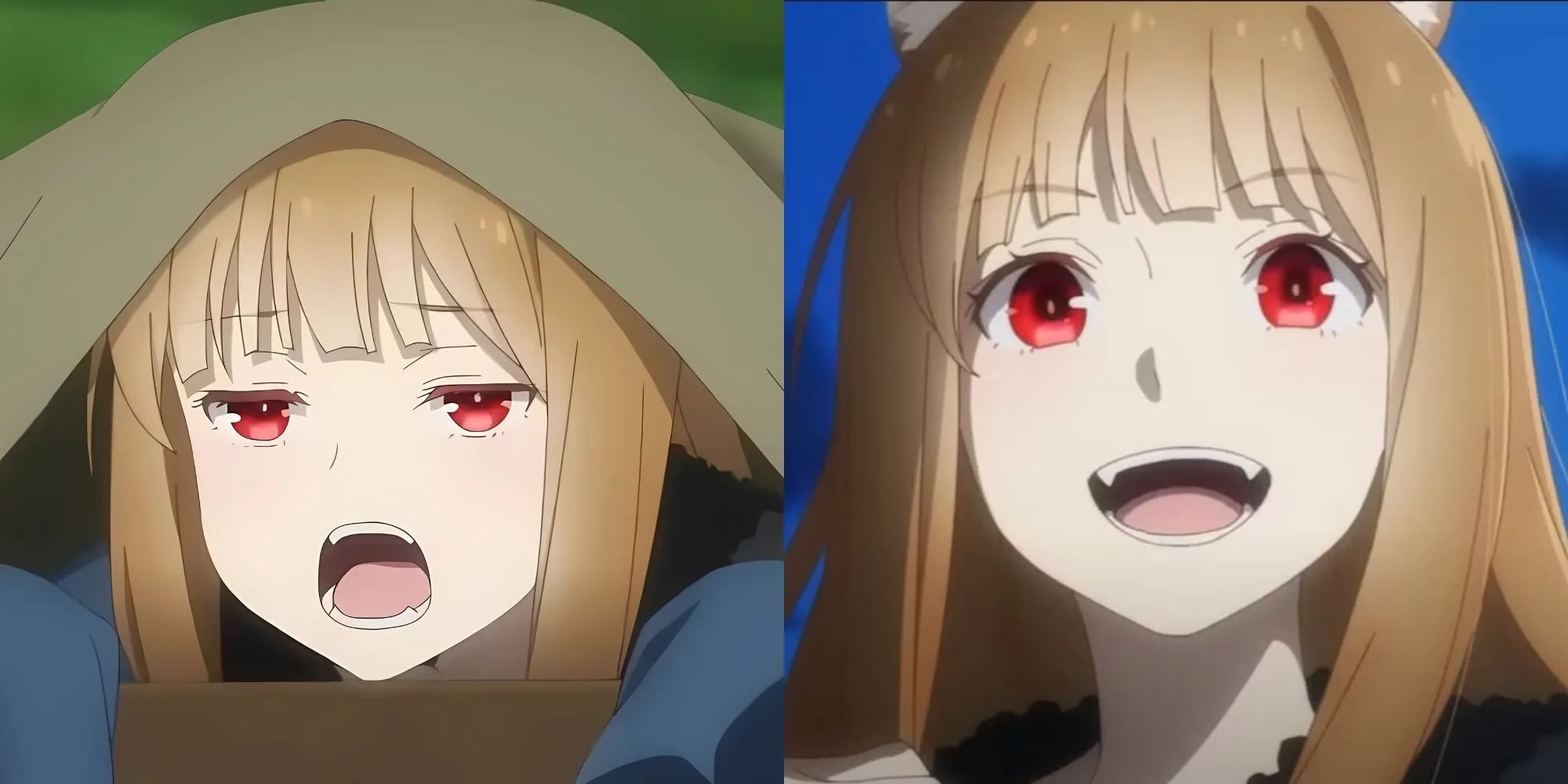 Holo – Spice and Wolf, một nữ thần sói với trí tuệ thương mại sắc bén