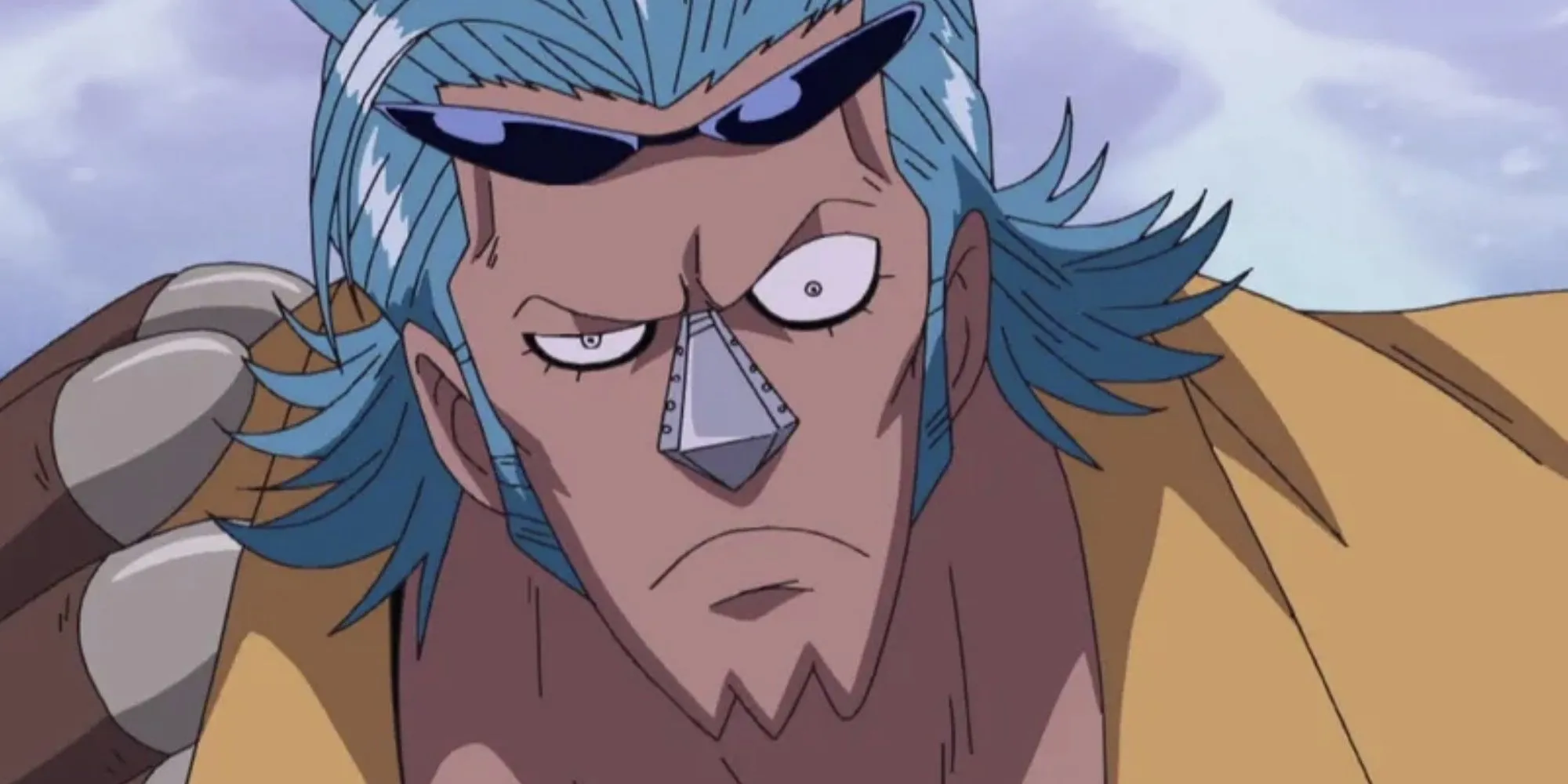 Người thợ đóng tàu tài ba, Franky trong One Piece