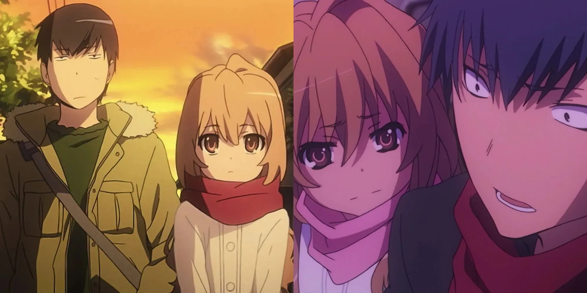 Ryuji Takasu (ngoài đáng sợ, trong đảm đang) và Taiga Aisaka (hổ bỏ túi tsundere) trong anime Toradora!