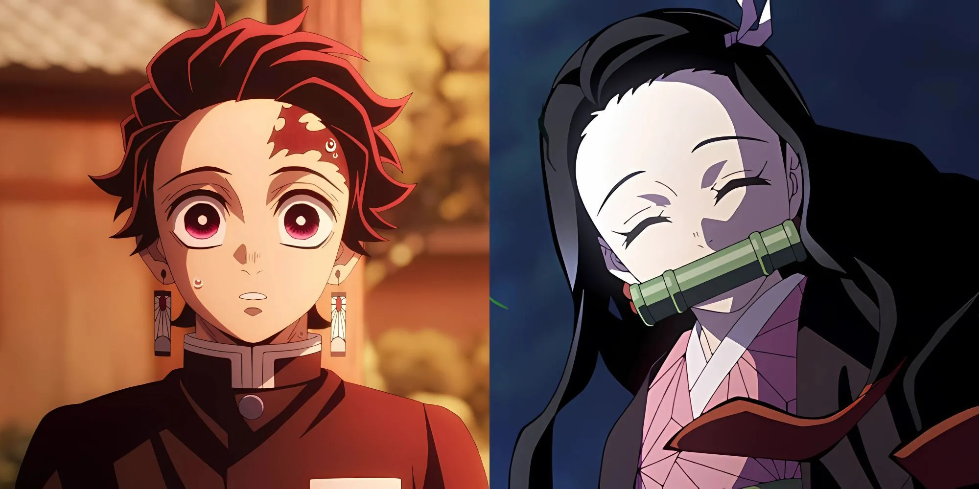 Tanjiro Kamado và Nezuko cùng các Sát Quỷ Nhân khác trong anime Thanh Gươm Diệt Quỷ (Demon Slayer)