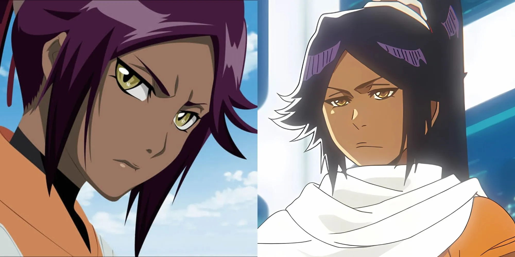 Yoruichi Shihouin trong hình dạng mèo và hình dạng người trong Bleach