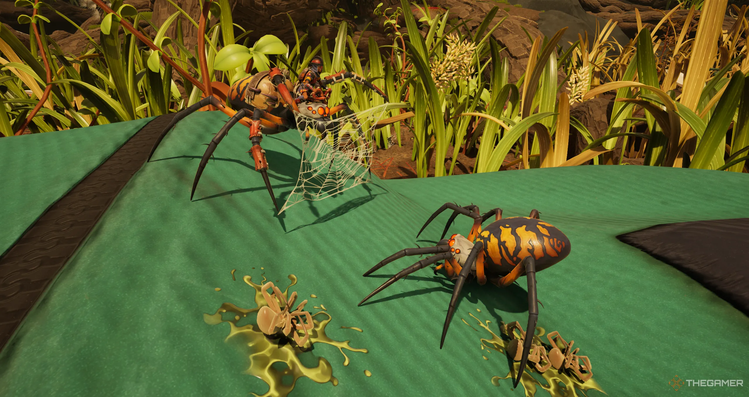 Hai nhện Orb Weaver chiến đấu trong Grounded 2, minh họa tương tác giữa các sinh vật trong thế giới game.