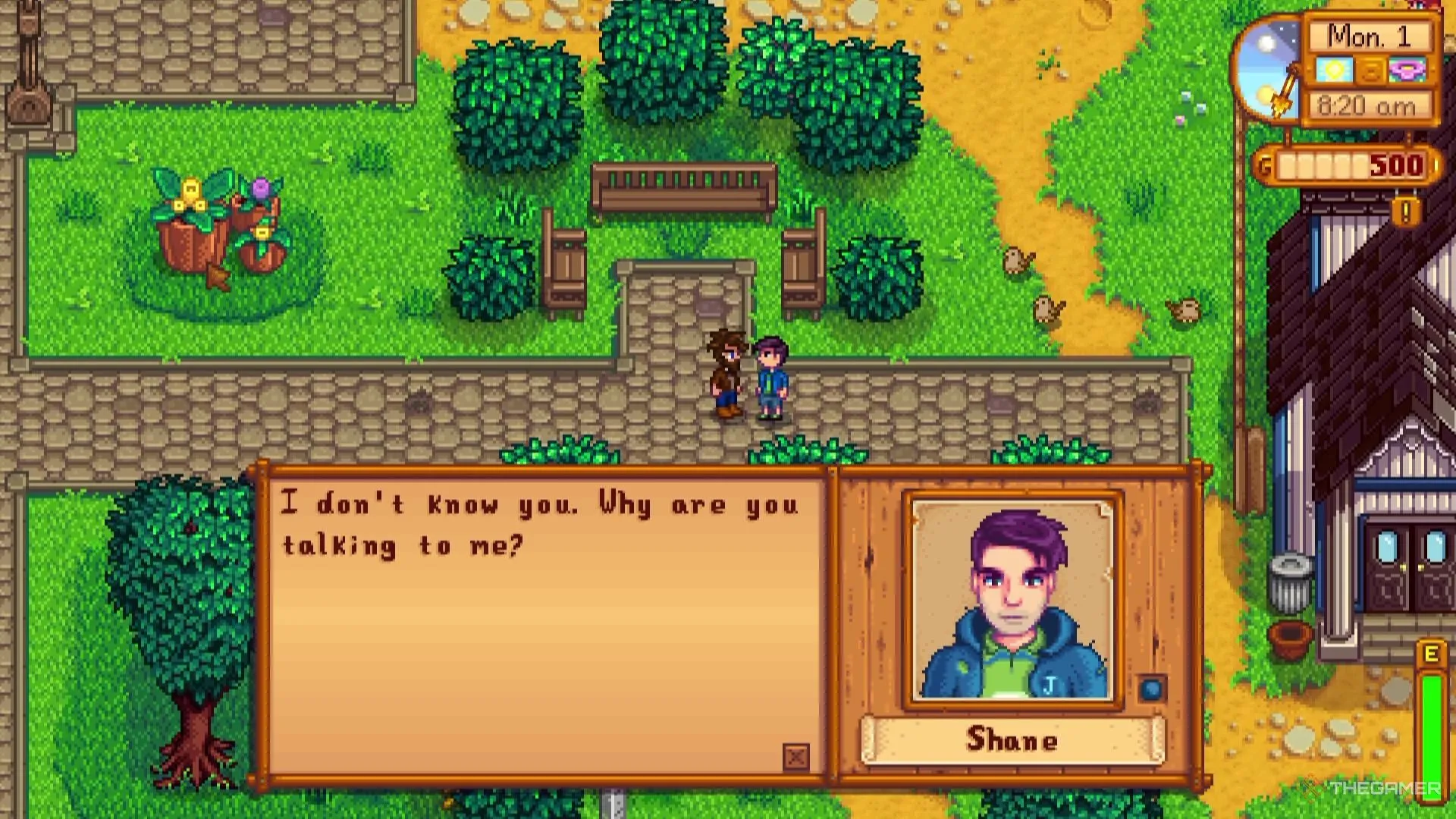 Shane và người chơi gặp gỡ trong Stardew Valley, minh họa lối chơi tán tỉnh NPC.