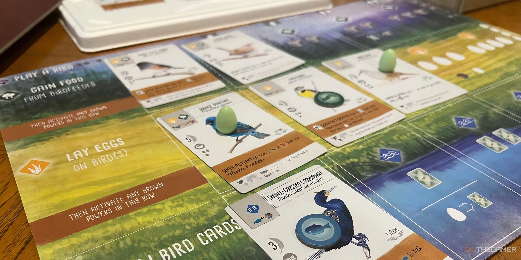 Thảm chơi của board game Wingspan, với các khu vực habitat và các thẻ chim được đặt lên